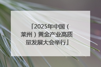 2025年中国（莱州）黄金产业高质量发展大会举行