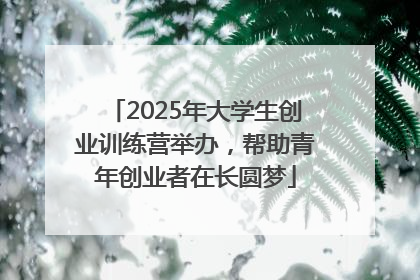2025年大学生创业训练营举办,帮助青年创业者在长圆梦
