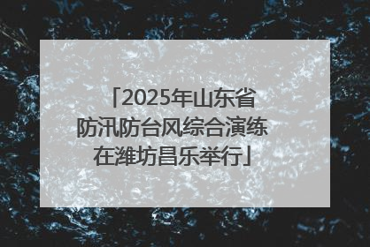 2025年山东省防汛防台风综合演练在潍坊昌乐举行