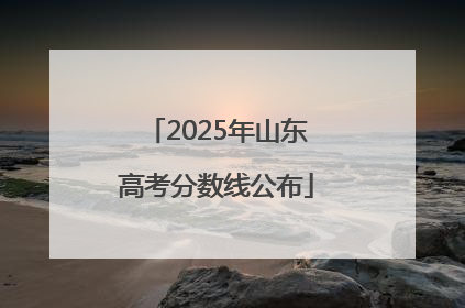 2025年山东高考分数线公布