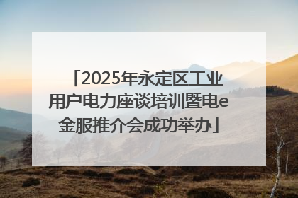 2025年永定区工业用户电力座谈培训暨电e金服推介会成功举办