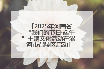 2025年河南省“我们的节日·端午”主题文化活动在漯河市召陵区启动