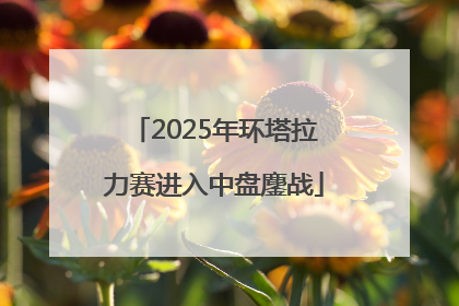 2025年环塔拉力赛进入中盘鏖战