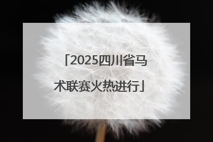 2025四川省马术联赛火热进行