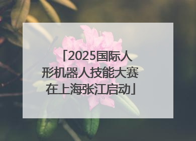 2025国际人形机器人技能大赛在上海张江启动