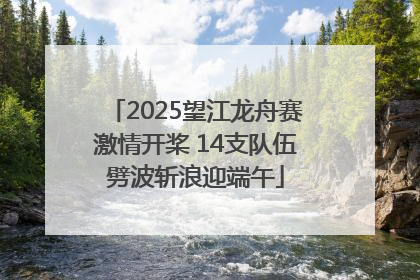 2025望江龙舟赛激情开桨 14支队伍劈波斩浪迎端午