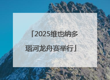 2025维也纳多瑙河龙舟赛举行