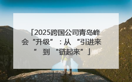 2025跨国公司青岛峰会“升级”：从 “引进来” 到 “链起来”