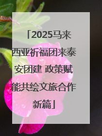 2025马来西亚祈福团来泰安团建 政策赋能共绘文旅合作新篇