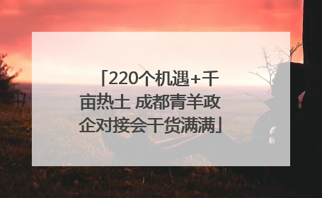 220个机遇+千亩热土 成都青羊政企对接会干货满满