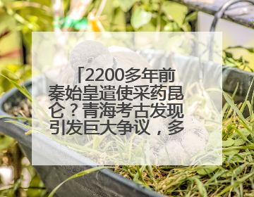 2200多年前秦始皇遣使采药昆仑？青海考古发现引发巨大争议，多方回应