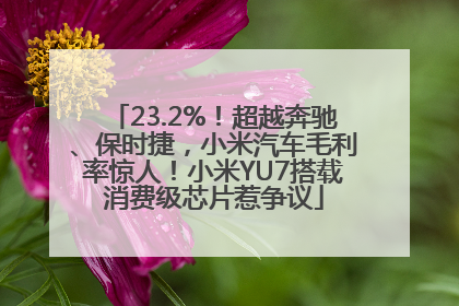 23.2%！超越奔驰、保时捷，小米汽车毛利率惊人！小米YU7搭载消费级芯片惹争议
