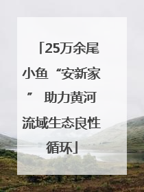 25万余尾小鱼“安新家” 助力黄河流域生态良性循环
