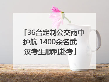 36台定制公交雨中护航 1400余名武汉考生顺利赴考