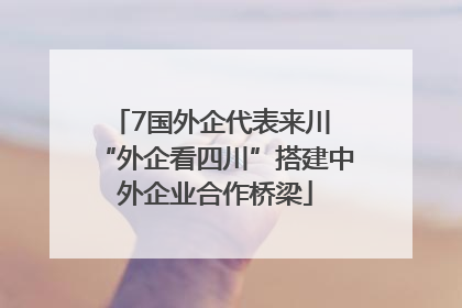7国外企代表来川 “外企看四川”搭建中外企业合作桥梁