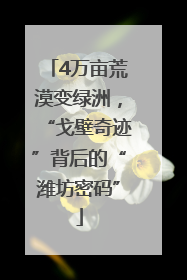 4万亩荒漠变绿洲，“戈壁奇迹”背后的“潍坊密码”
