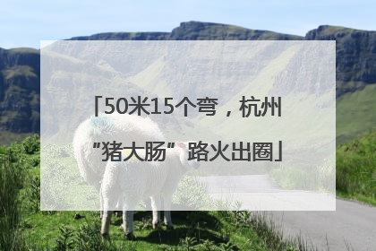 50米15个弯，杭州“猪大肠”路火出圈