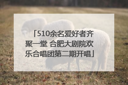 510余名爱好者齐聚一堂 合肥大剧院欢乐合唱团第二期开唱
