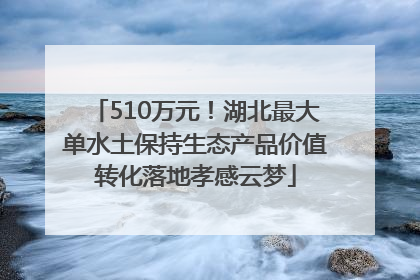510万元！湖北最大单水土保持生态产品价值转化落地孝感云梦