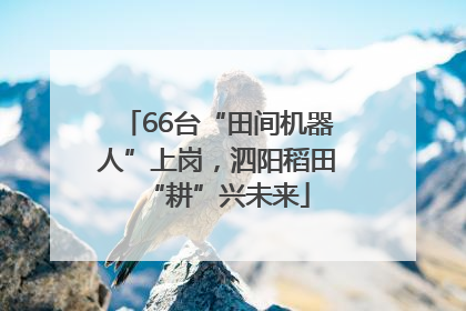 66台“田间机器人”上岗，泗阳稻田“耕”兴未来