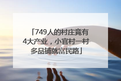 749人的村庄竟有4大产业，小官村一村多品铺就富民路