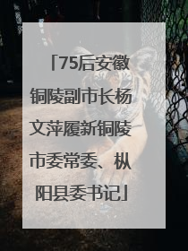 75后安徽铜陵副市长杨文萍履新铜陵市委常委、枞阳县委书记
