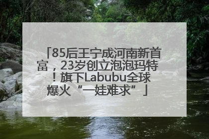 85后王宁成河南新首富，23岁创立泡泡玛特！旗下Labubu全球爆火“一娃难求”
