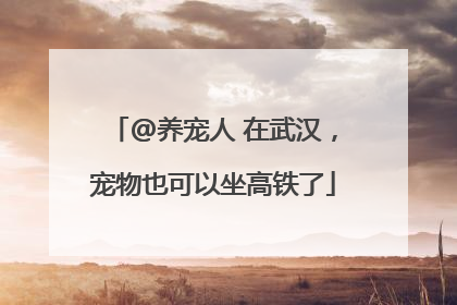 @养宠人 在武汉，宠物也可以坐高铁了