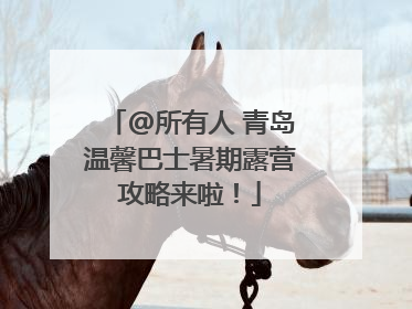 @所有人 青岛温馨巴士暑期露营攻略来啦！