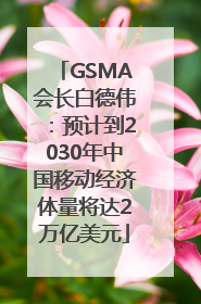 GSMA会长白德伟：预计到2030年中国移动经济体量将达2万亿美元