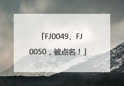FJ0049、FJ0050，被点名！