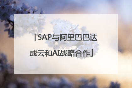 SAP与阿里巴巴达成云和AI战略合作